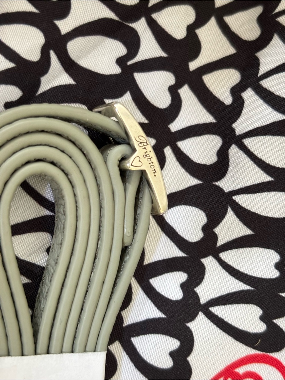 Brand new Brighton interlock large wallet with strap Sage - Picture 12 of 14